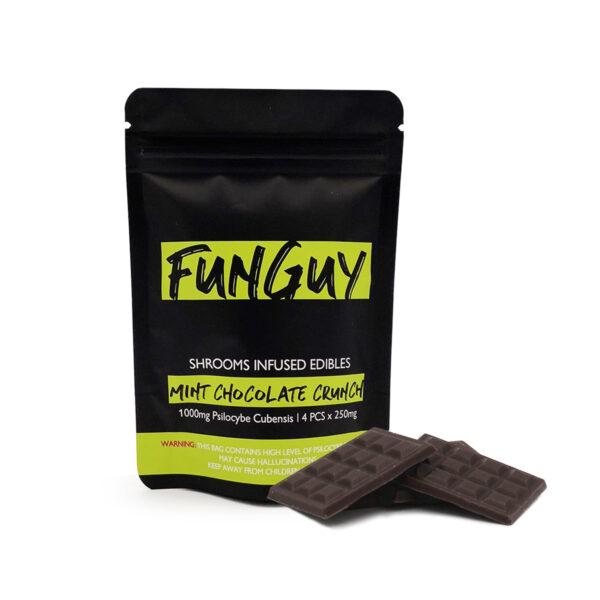 FunGuy Mint Chocolate Crunch