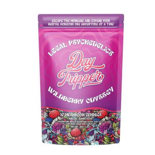Wild Berry Odyssey Mushroom Gummies | 10 Count